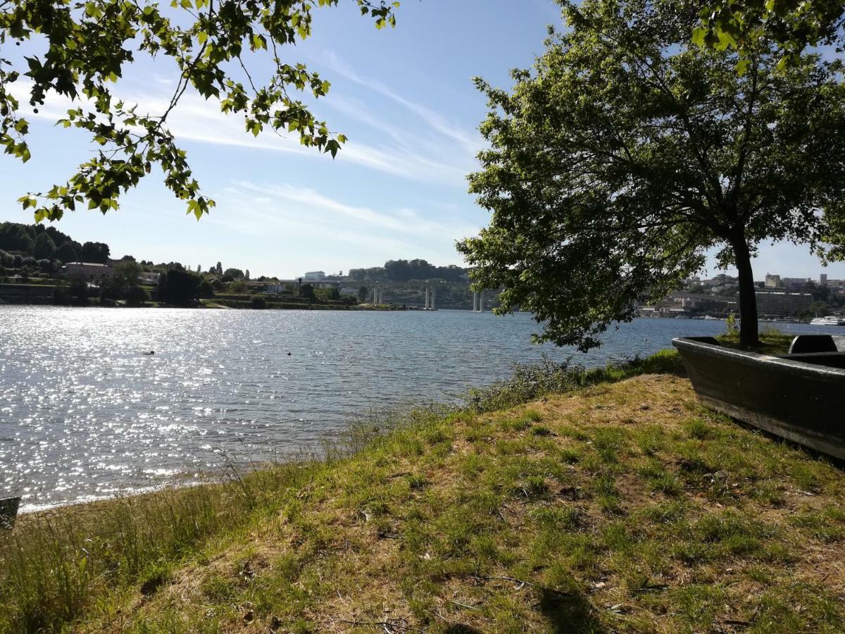 Green Villas Douro جوندومار المظهر الخارجي الصورة
